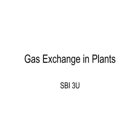 Gas exchange in plants