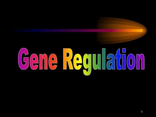 gene regulation                             .ppt