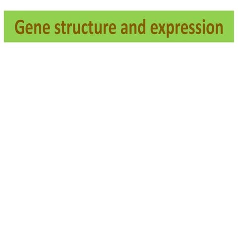 Gene structure and expression