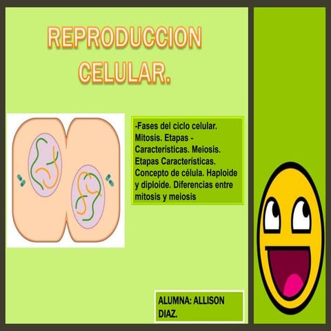 Genetica mitosis y meiosis.