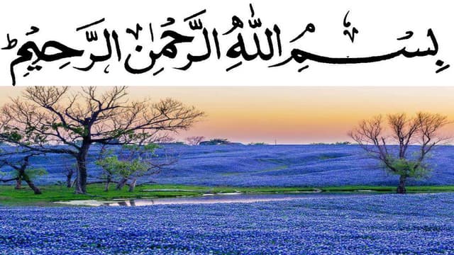 Genetic Recombinition in Bacteria