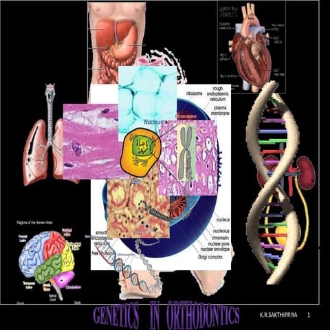 Genetics in orthodontics-sakthi