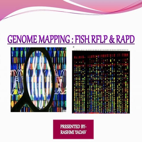 Genome mapping 