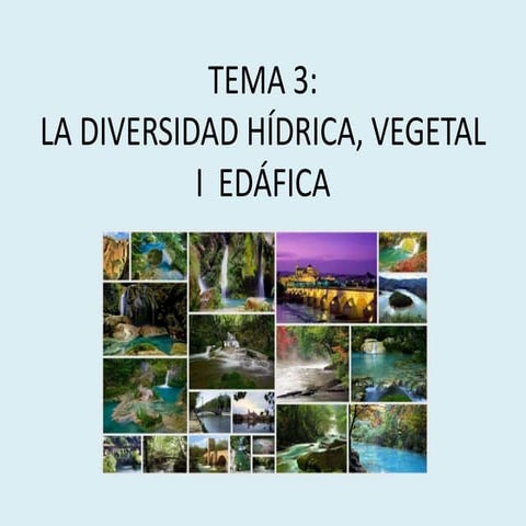 GEO2 T3 Diversidad hídrica, vegetal i edáfica.