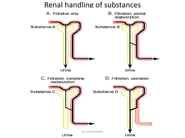 Gfr factors. 17.02.13.