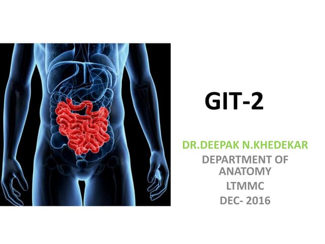 HISTOLOGY OF GIT- 2