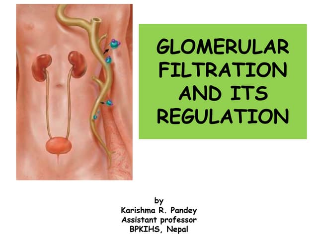 Glomerular filtration