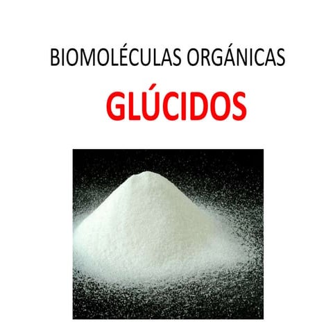 Glucidos Repaso