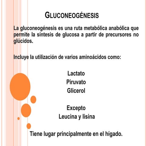 Gluconeogénesis nueva