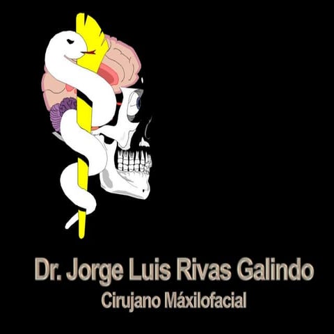 Granulomacelulasgigantes