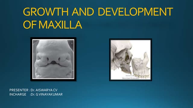 GROWTH AND DEVELOPMENT OF MAXILLA In prosthodontics