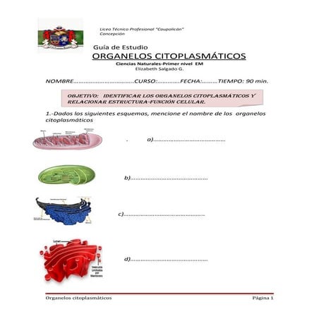 Guía de estudio elizabeth salgado  liceo caupolicán