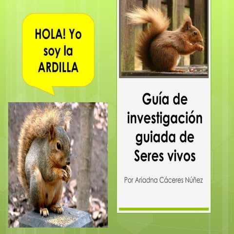 Guía seres vivos: la ardilla