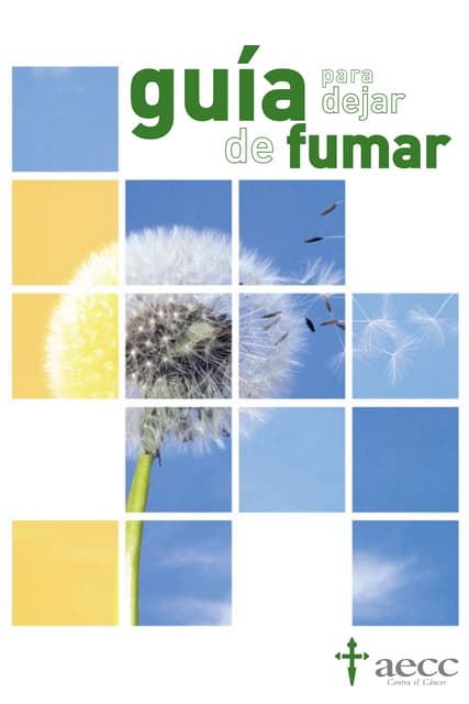Guia dejar fumar