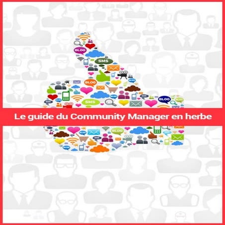Guide du community manager en herbe