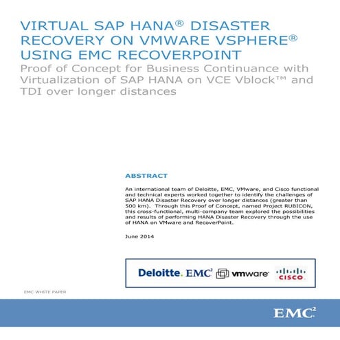 Project Rubicon SAP HANA Team