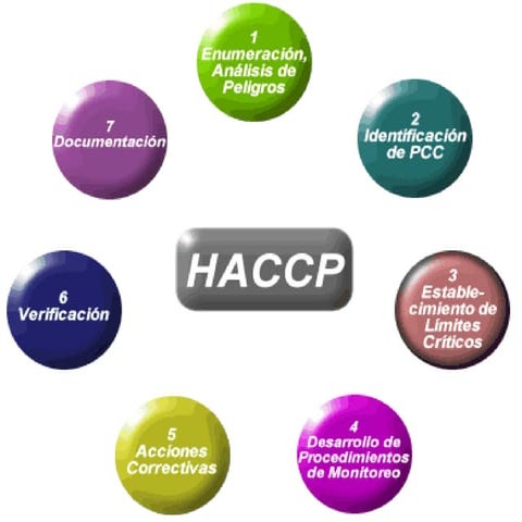 Manual Haccp