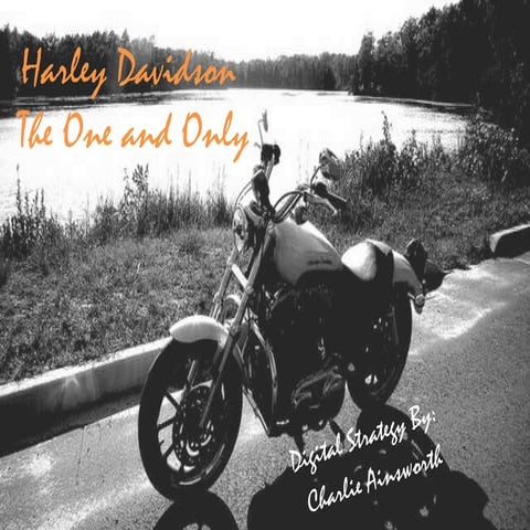 Digital Strategy for Harley Davidson