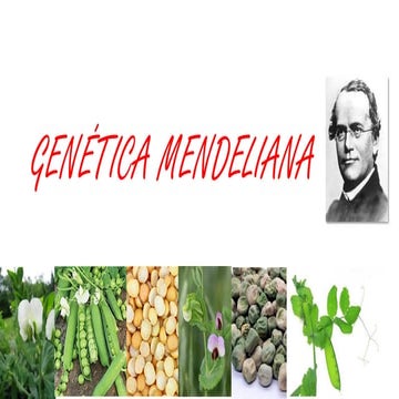 Herencia mendeliana 4Eso genetica . Pdff