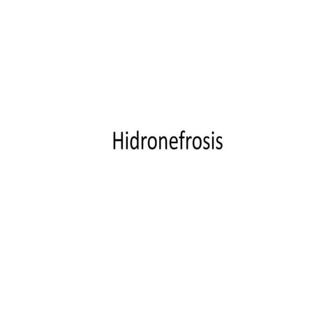 Hidronefrosis