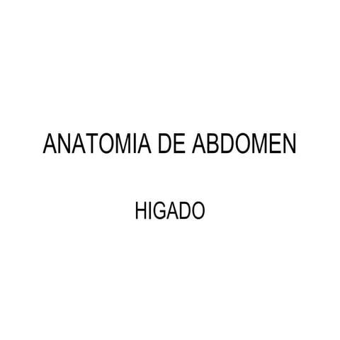 Anatomia de Higado