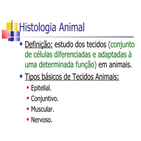 Histologia animal 2