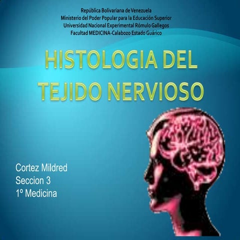 Histologia Tejido Nervioso