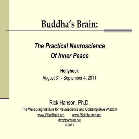 Buddha's Brain: The Practical Neuroscience of Inner Peace - Rick Hanson, PhD