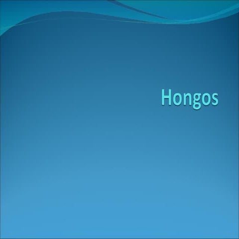 Hongos