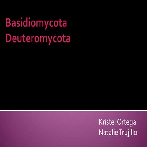 Hongos imperfectos o deuteromycota