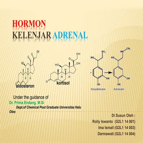 Hormon kelenjar adrenalin