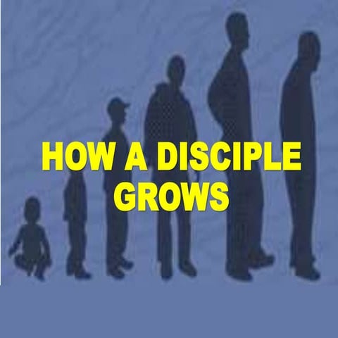 How a disciple grows