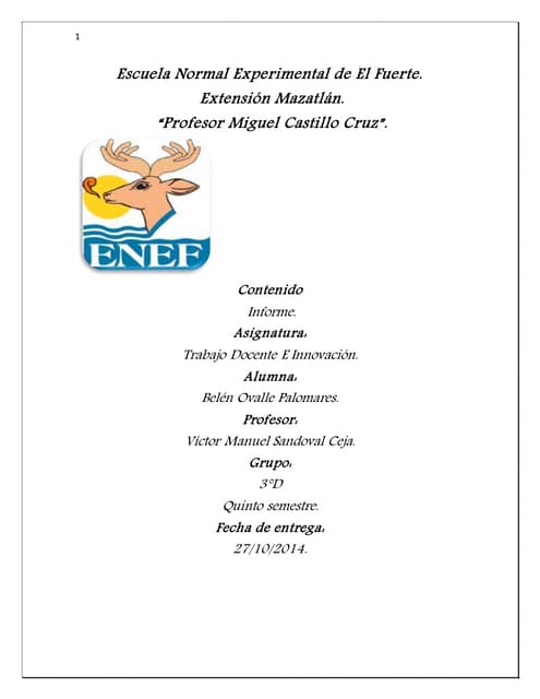 informe de  observación y  practica  24 de noviembre  al 5 de diciembre del 2014