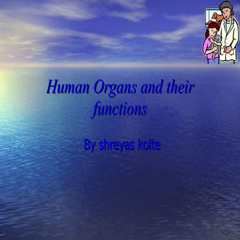 Human Organs