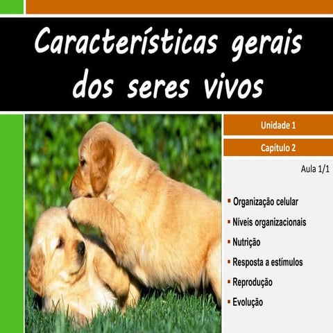 I.2 características dos seres vivos