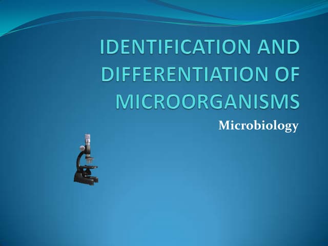 Identification And Differentiation Of Microorganisms