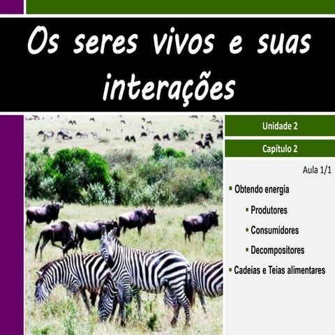 II.2 Os seres vivos e suas interações