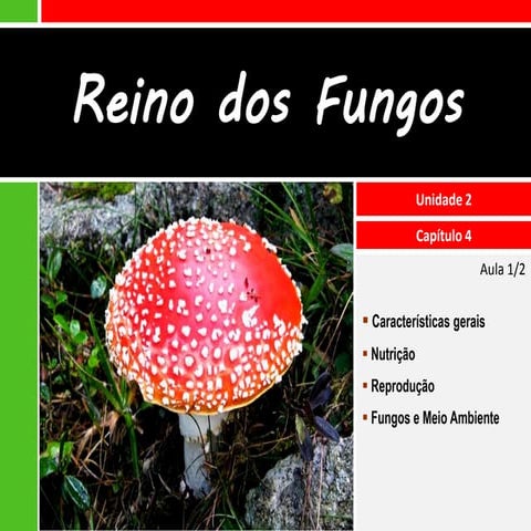 II.4 Reino Fungi