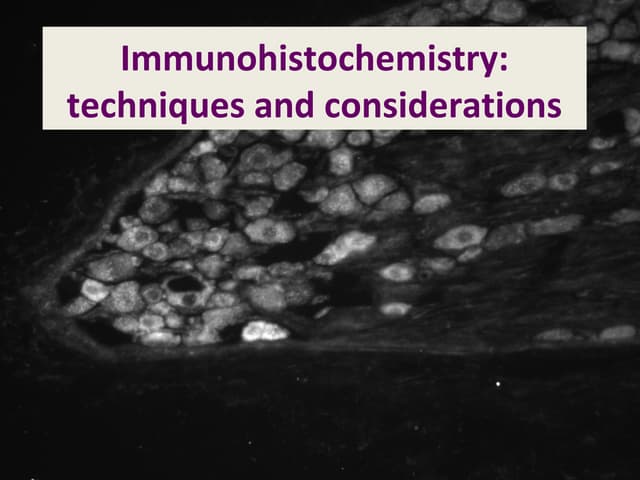 Immunohistochemistry 