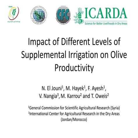 Impact of Different Levels of Supplemental Irrigation on Olive Productivity