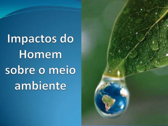 Impactos do homem sobre o meio ambiente