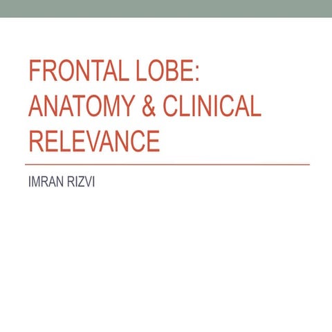 frontal lobe anatomy and clinical relevance