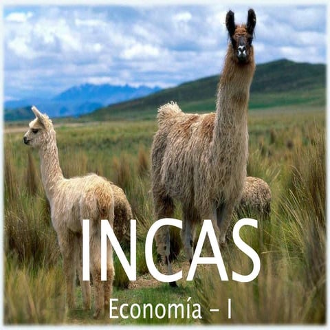 INCAS: Economía I