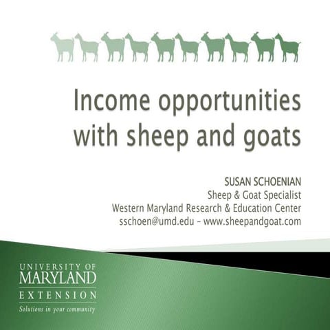 Income opportunities with sheep and goats