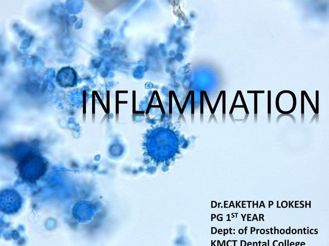 Inflammation  seminar