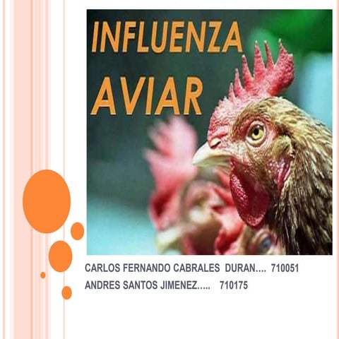 Influenza aviar.pptx2