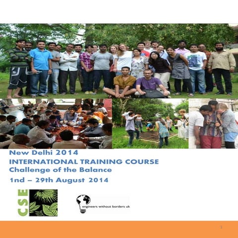 2014 CSE Summer School Brochure