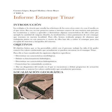 Informe Estnaque Tínar 