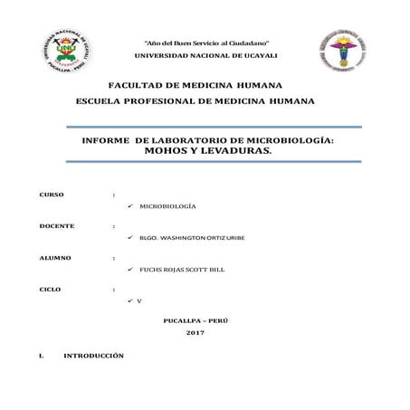 Informe de laboratorio   mohos y levaduras