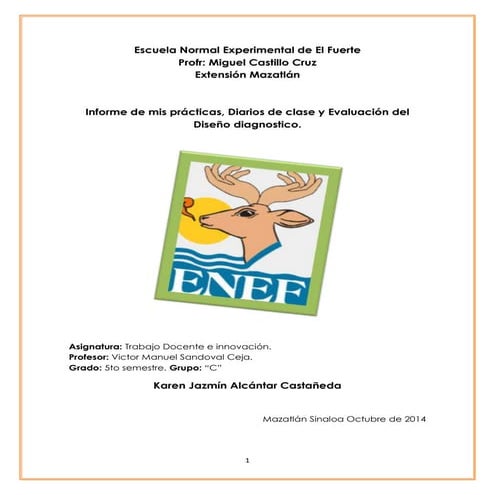 Informe de mis practicas